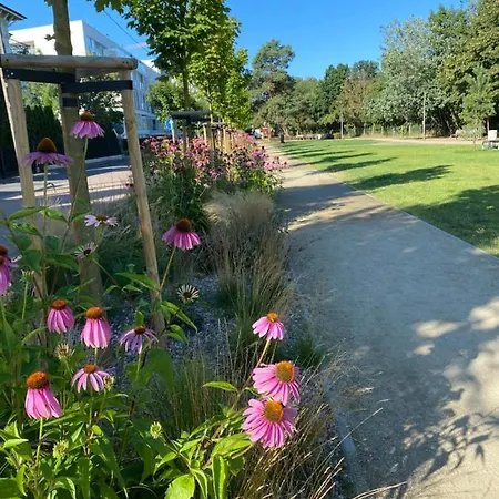 Playa Baltis Club Di Mare 公寓 *