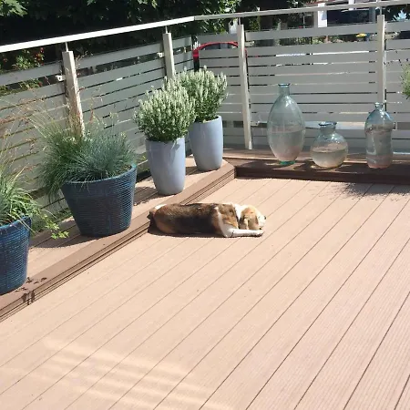 Playa Baltis Club Di Mare