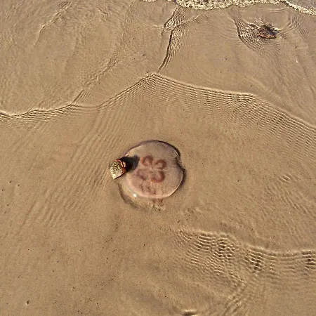 Playa Baltis Club Di Mare *