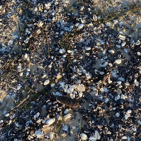 Apartmán Playa Baltis Club Di Mare Miedzyzdroje