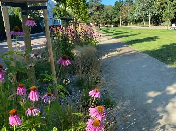 Playa Baltis Club Di Mare Apartamento *